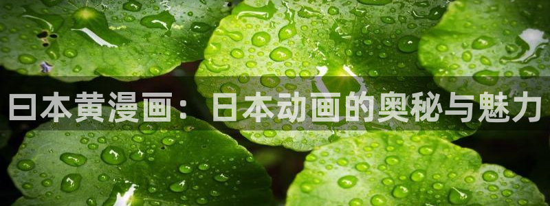 女神漫画免费阅读：曰本黄漫画：日本动画的奥秘与魅力